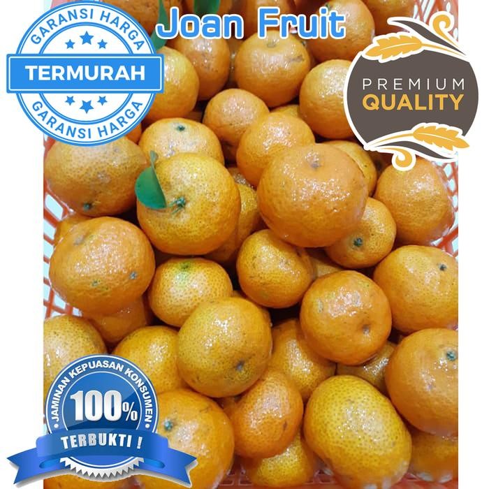 

BisaInstan- Buah Jeruk Santang Daun SEEDLESS SUPER MANIS 1kg Shantang Ga ada biji