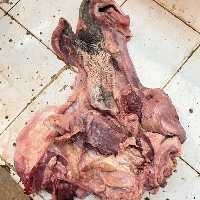 

Kirim,HariYgSama- Daging Kepala Sapi Lokal/ Beef Headmeat Frozen /Pala