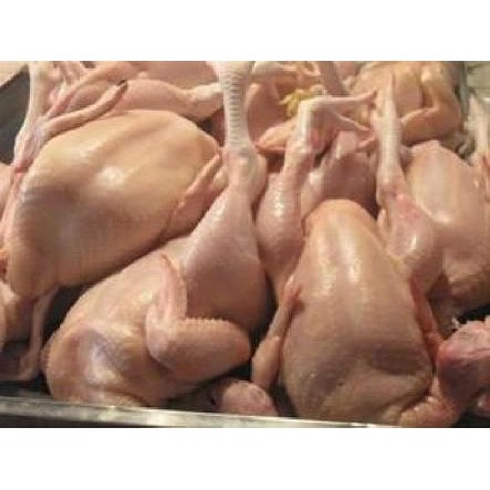 

Kirim,HariYgSama- Ayam Utuh Segar Ukuran Hidup 2,0 kg.