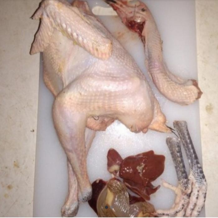 

Kirim,HariYgSama- Ayam Kampung Muda fresh