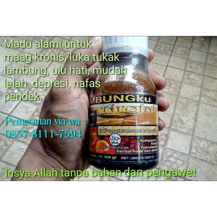 

Terlaris- Madu Lambung Arofah Berbahan Alami -Gratisongkir