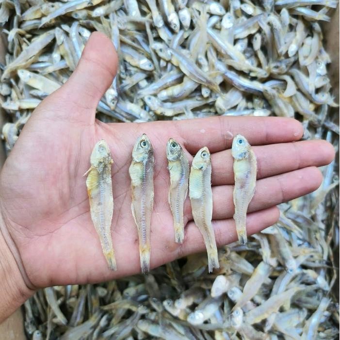 

NewZbgt- teri jengki asin 1 kg murah Kering Food