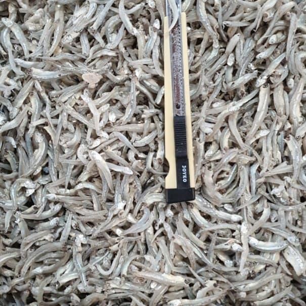 

NewZbgt- ikan teri nasi Lampung biru per 500gr