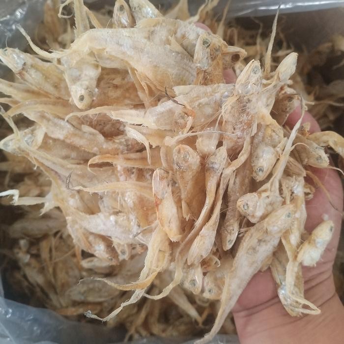 

NewZbgt- Ikan Asin Bulu Ayam 1 Kg Fresh