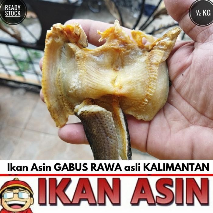

NewZbgt- Ikan Asin GABUS / HARUAN KECIL 500 gr