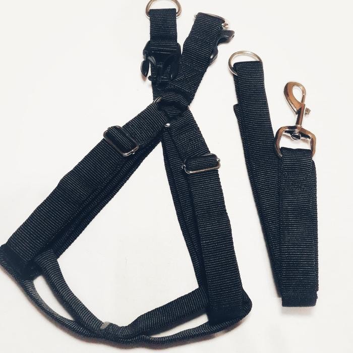PREMIUM harness anjing golden husky lebar 2,5 cm