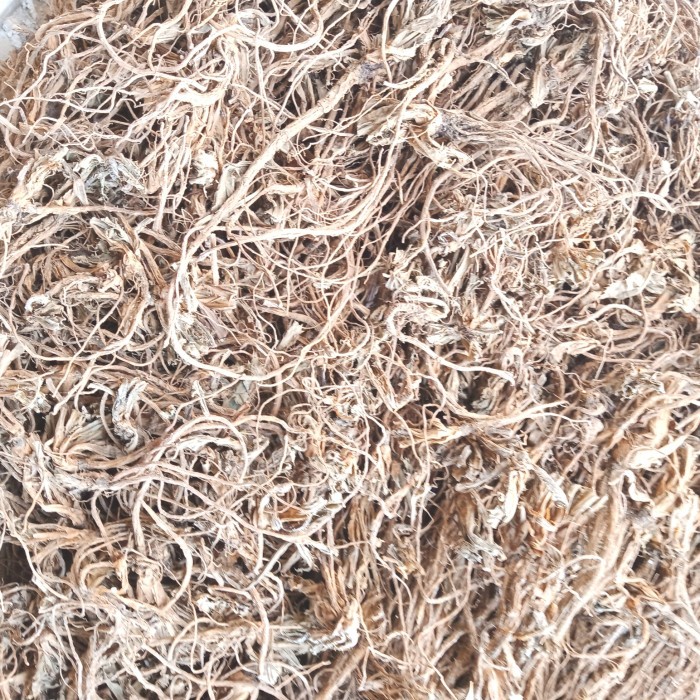 

Dapur Joglo [1Kg] Akar Purwoceng Kering Premium