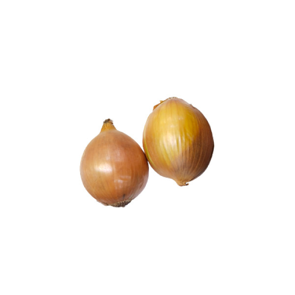 

BAWANG BOMBAY 500-540 GR