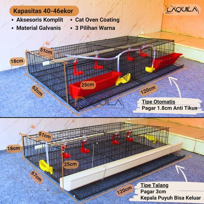 Kandang Puyuh Galvanis Puyuh Petelur 40 - 46 Ekor