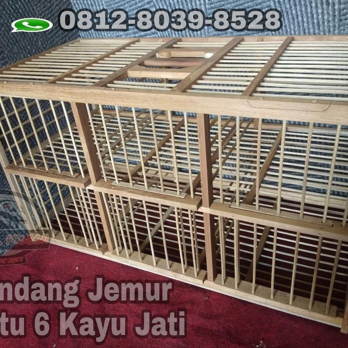 dondang kandang jemur burung merpati dara lomba pintu 6 kayu jati terbaru