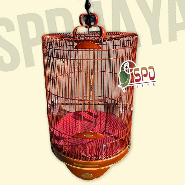 SANGKAR MURAI RAFI JAYA REBORN terbaru