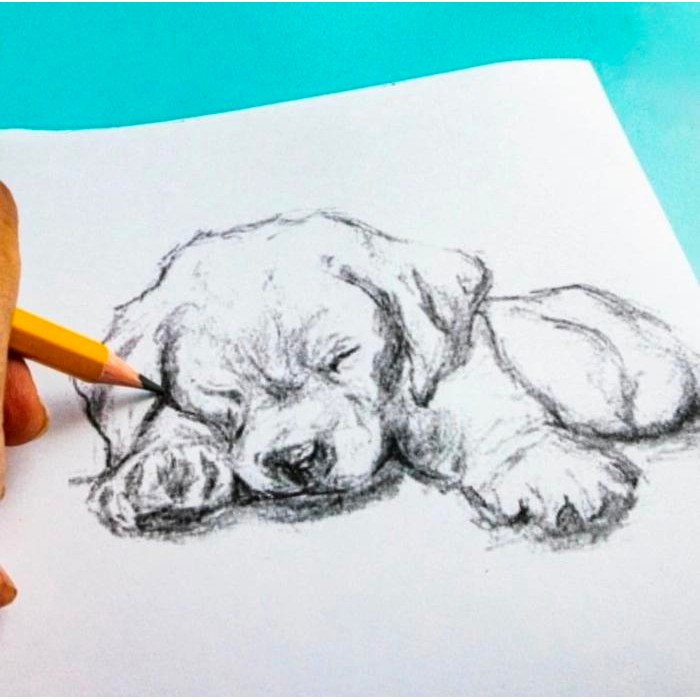 

ID PENSIL 2B SQUEEZY TARTAN PK2B-SQ306 ISI 12 PCS / BOX