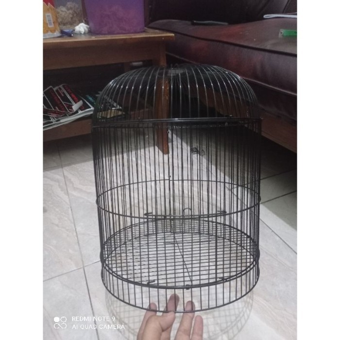 TERLARIS New RAM BESI LOVEBIRD PENDEK/TANGGUNG TEBAL