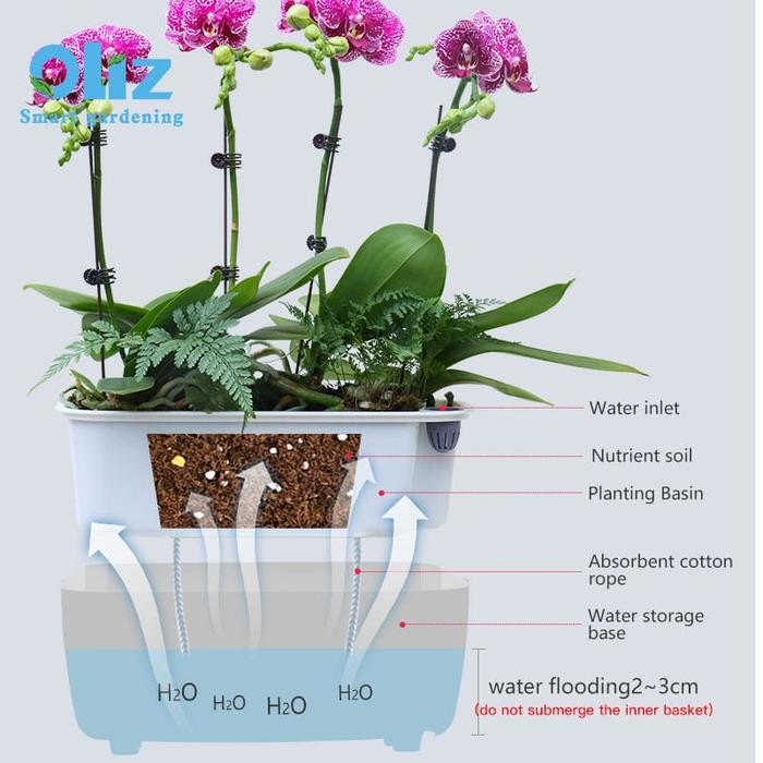 Thinkerbelllll Pot Tanaman Otomatis - Self Watering Pot - Pot Hidroponik - Olz - 211