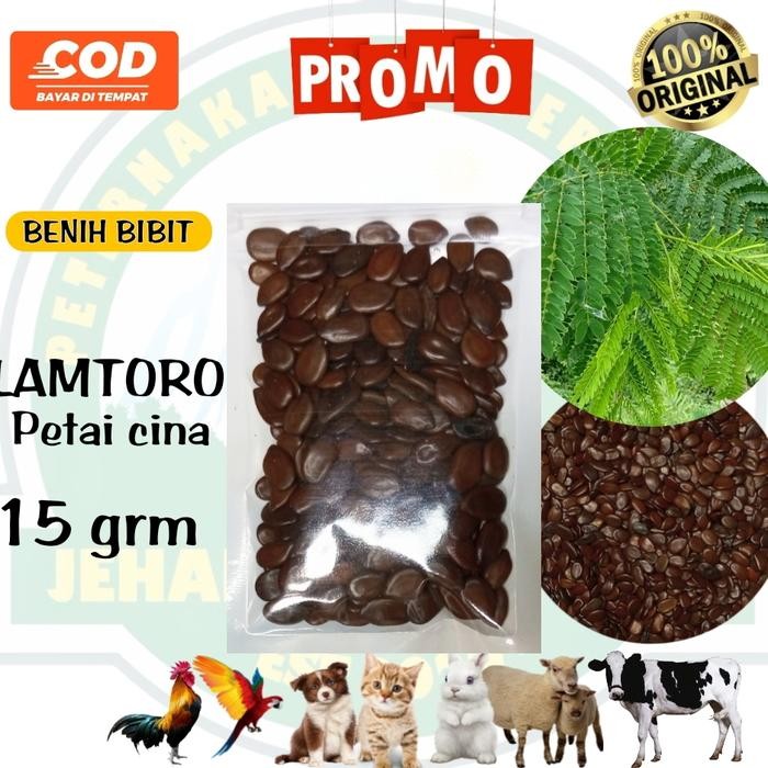 

biji benih lamtoro 15 grm bibit lamtoro /petai cina pakan ternak *