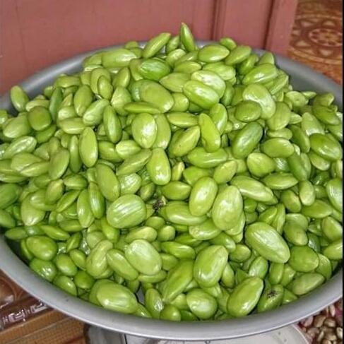 

PETE PETAI KUPAS 1KG MURAH *