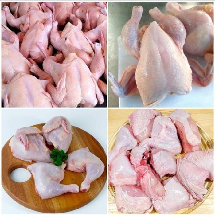 

BeliSkrg,KirimHariini- Ayam potong fresh ukuran 900gr - 1 kg