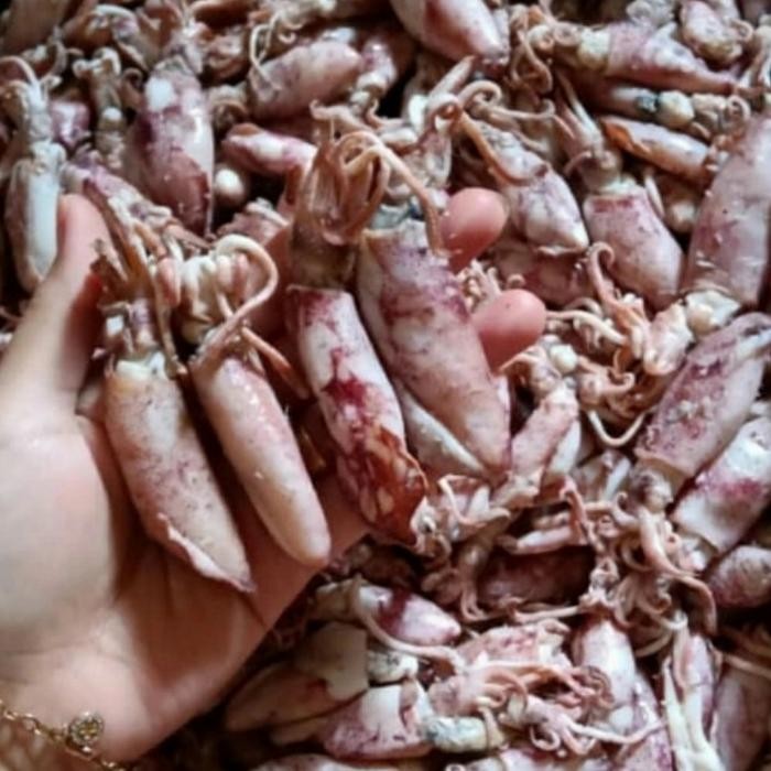 

PastikanDikirimLgsg- cumi asin kering 250 gr