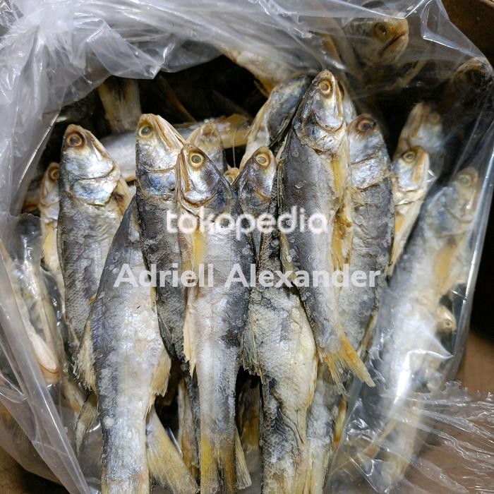 

PastikanDikirimLgsg- Ikan Asin Sinangin Medan