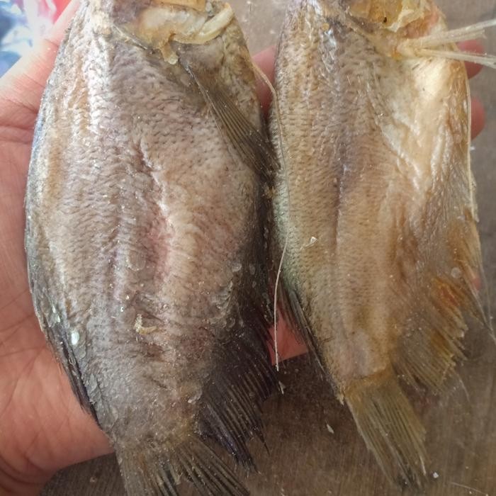 

PastikanDikirimLgsg- ikan asin sepat per 250gram