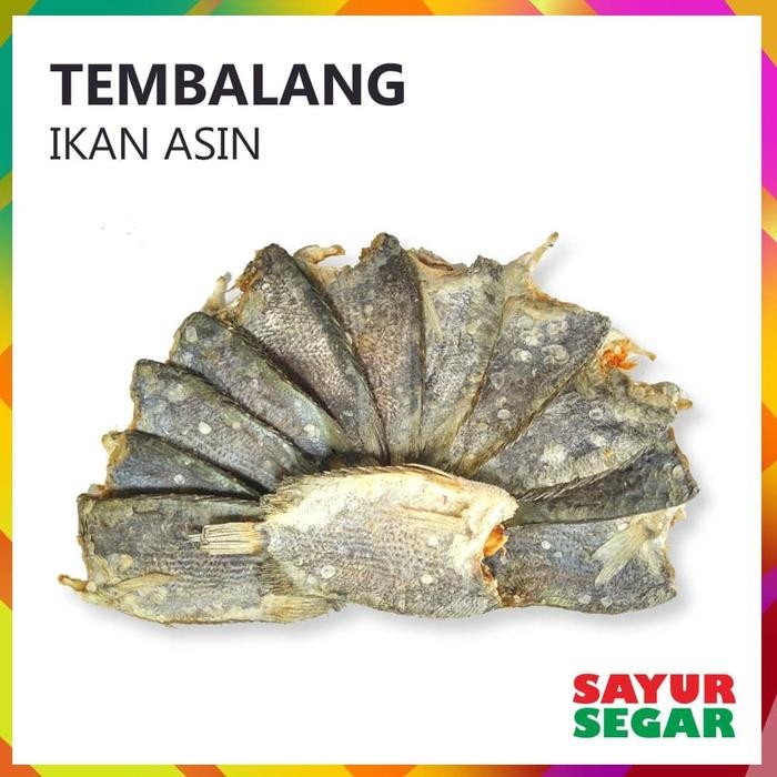 

PastikanDikirimLgsg- IKAN ASIN TEMBALANG [100g]