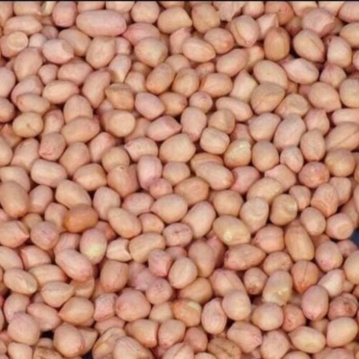 

PastikanTerjaminMutunya- Kacang Tanah Tuban Super 1 Kg Kulit Bersih