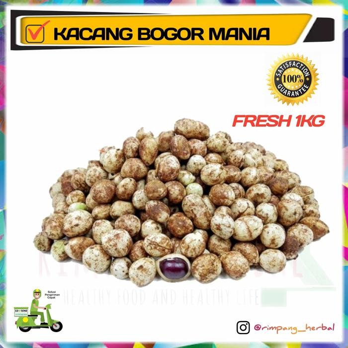 

PastikanTerjaminMutunya- kacang bogor mentah / kualitas super / Rimpang Herbal