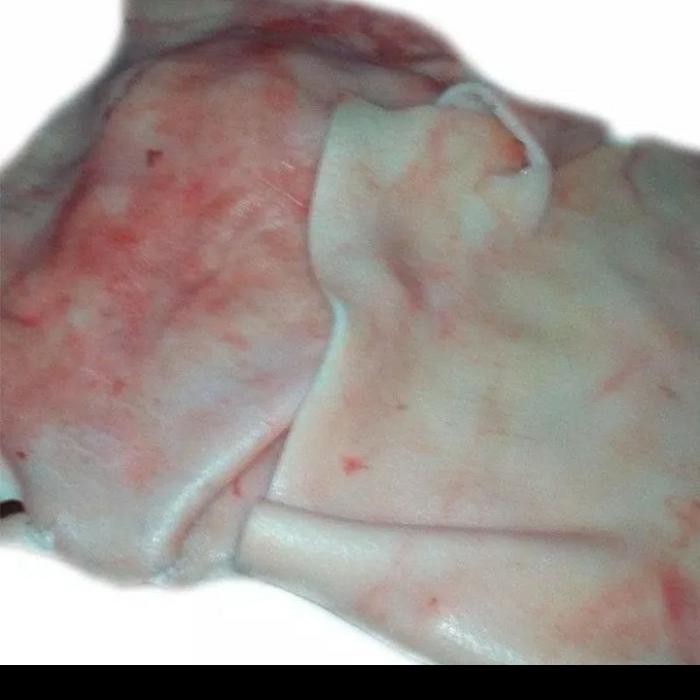 

BnyKBonusBelidiMari- daging babi bagian kulit