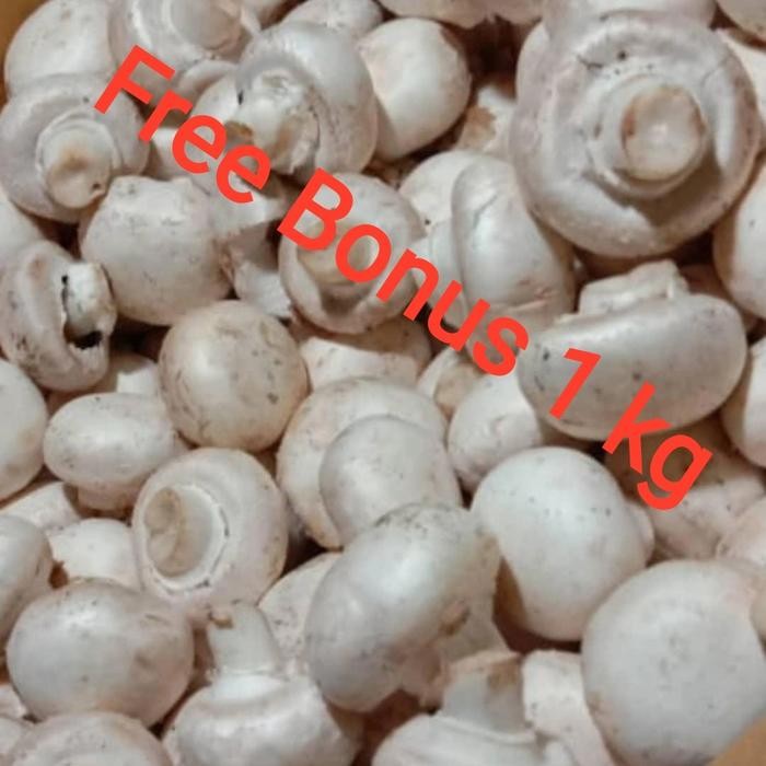 

BnyKBonusBelidiMari- jamur champignon 1 kg + Gratis Bonus