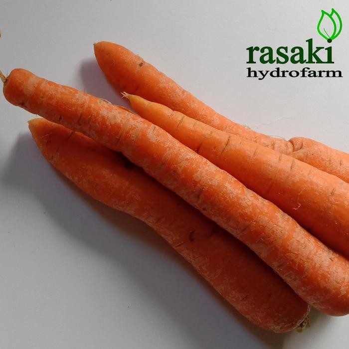 

BnyKBonusBelidiMari- wortel organik 1 kg rasaki hydrofarm