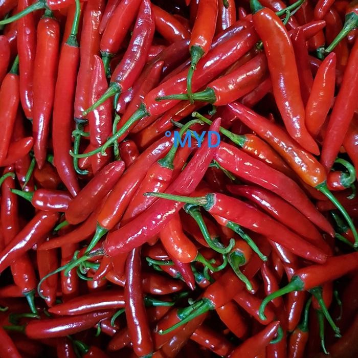 

BnyKBonusBelidiMari- cabe merah besar 1 kg fresh Hot chili Tw merah Cabe merah domba