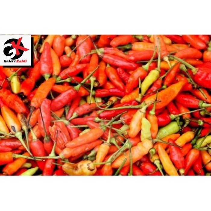 

BnyKBonusBelidiMari- Cabe Rawit Merah Segar Fresh Berkualitas Grade A - 250 Gram