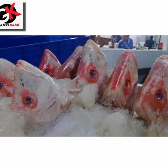 

PastiFreShNya- Kepala Ikan Kakap Merah BESAR Segar Grade A - Per 1Kepala