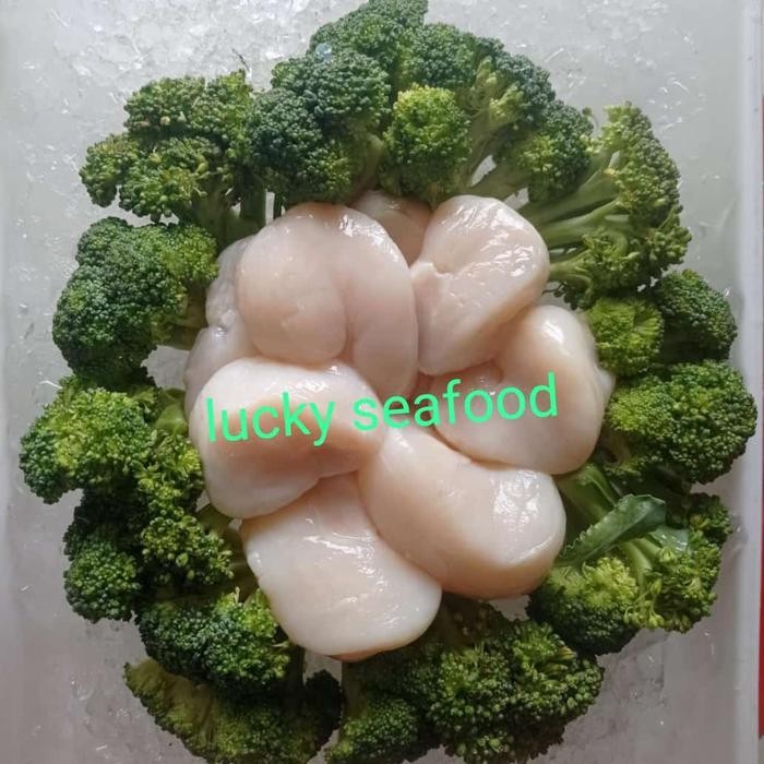 

PastiFreShNya- DAGING SCALLOP LOKAL JUMBO 500 GRAM