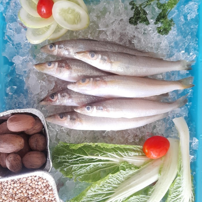 

PastiFreShNya- Ikan kaca piring fresh