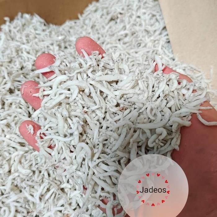 

PastiFreShNya- Ikan Teri Medan Super Berat 500gr