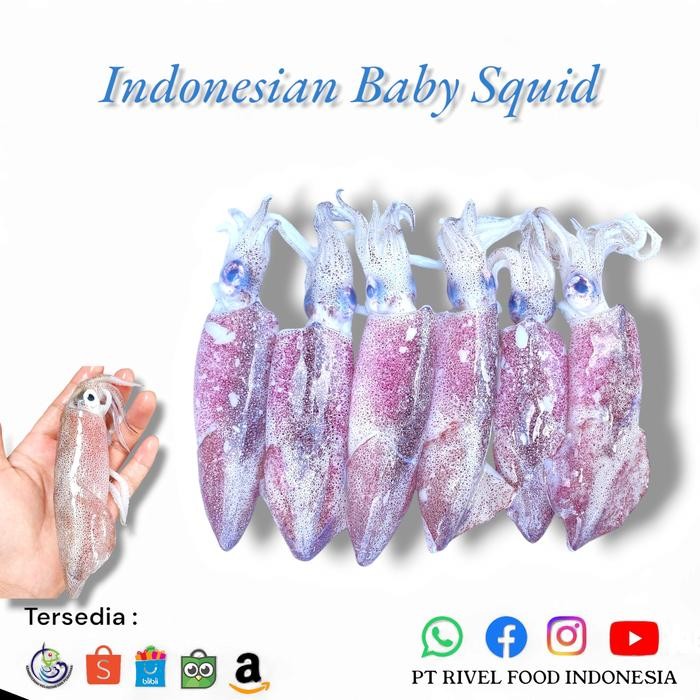 

PastiFreShNya- Cumi Baby Segar 1 kg