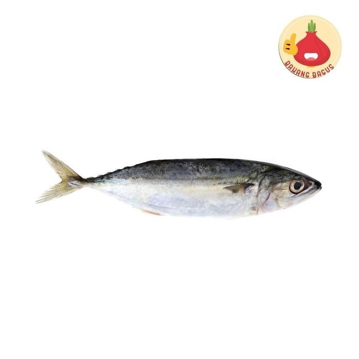 

PastiFreShNya- IKAN KEMBUNG SEGAR 1KG