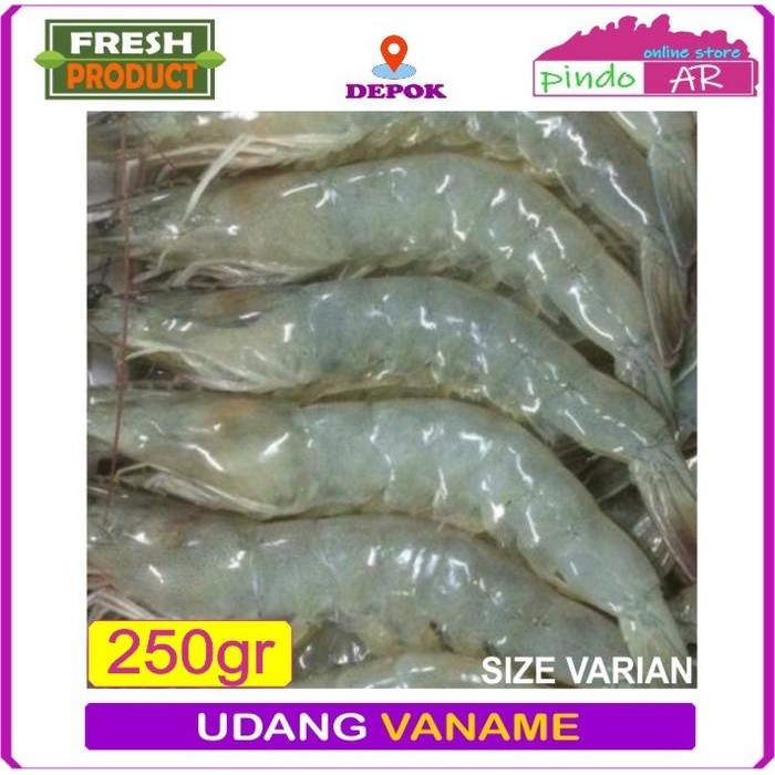 

PastiFreShNya- UDANG VANAME SEGAR PAKET HEMAT 250 GRAM