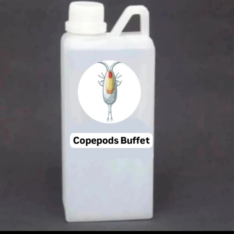 Perawatan Hewan Ikan Dosing Reef Copepods Buffet untuk mendorong populasi copepods di akuarium air