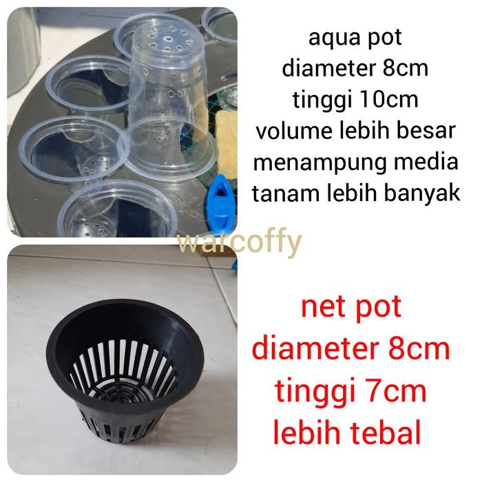 BUDIKDAMBER 12 LUBANG