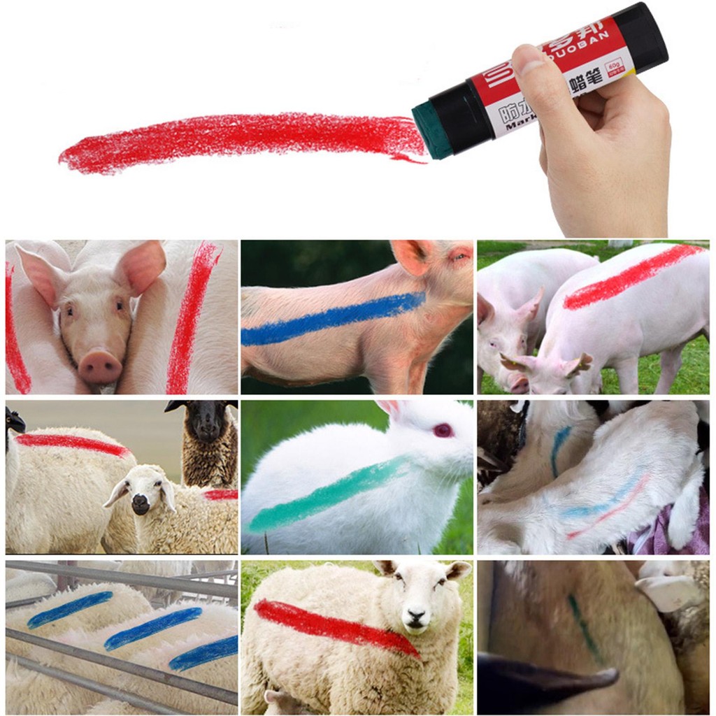 

Livestock Marker Marking Wet Or Dry Animal High Visibility Waterproof Livestock Identification