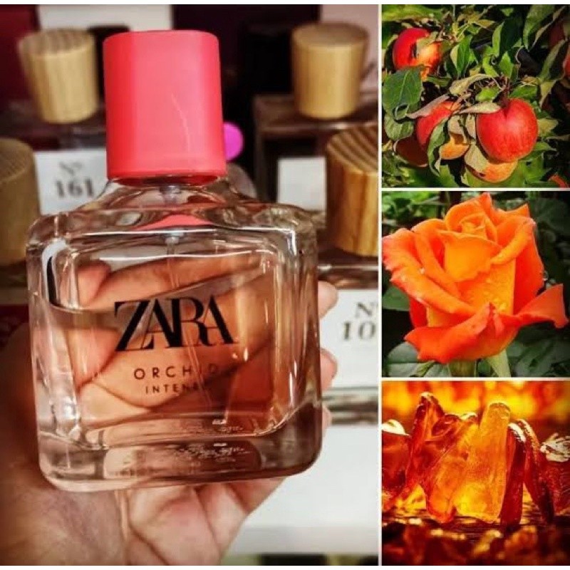 PARFUM ORIGINAL EROPA Zara Orchid Intense 100ml PARFUME WANITA / Parfum wanita