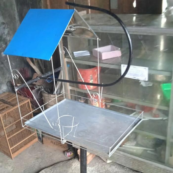 Amour Petshop Tangkringan Kakak Tua Atap