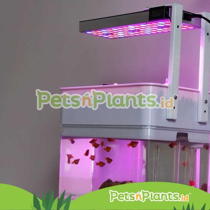 Akuaponik Indoor - Akuarium Akrilik + LED Lampu Tanaman Hidroponik