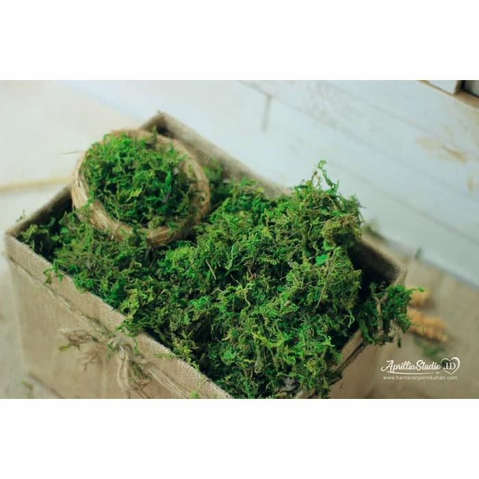[ REDY ] lumut HIJAU PREMIUM artificial 1 kg lumut kering rumput halus sintetis