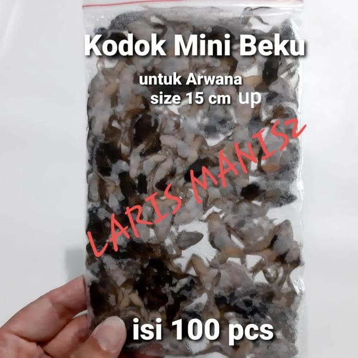 Pawretty- kodok beku - katak beku pakan ikan