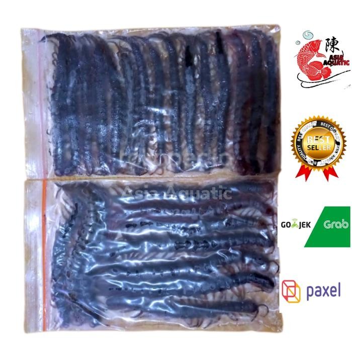 Pawretty- kelabang beku lipan beku pakan ikan arwana