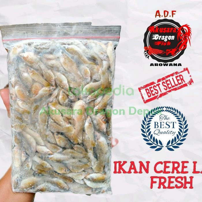 Pawretty- Ikan Cere Laut Pakan Ikan Dll