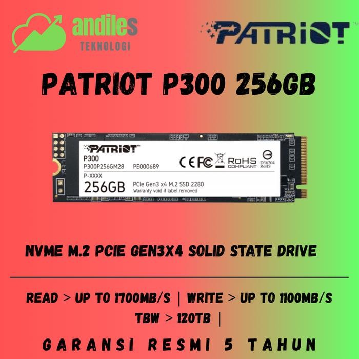 Terbaru Ssd Nvme 256Gb Dahua C900 (Garansi Resmi 3 Tahun) - Ssd Nvme 256Gb Patriot P300 (Garansi